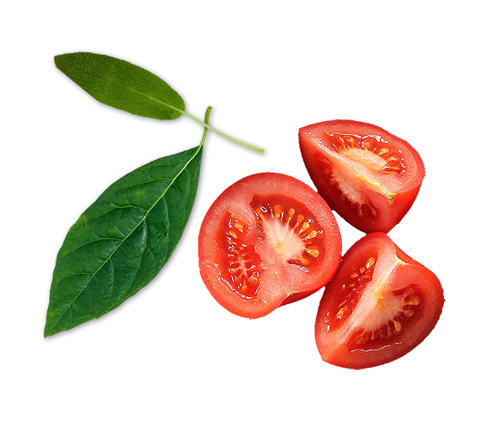 Güneşte Kurutulmuş Domates Küpleri